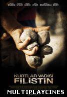 Ver Valley of the Wolves: Palestina Online Gratis