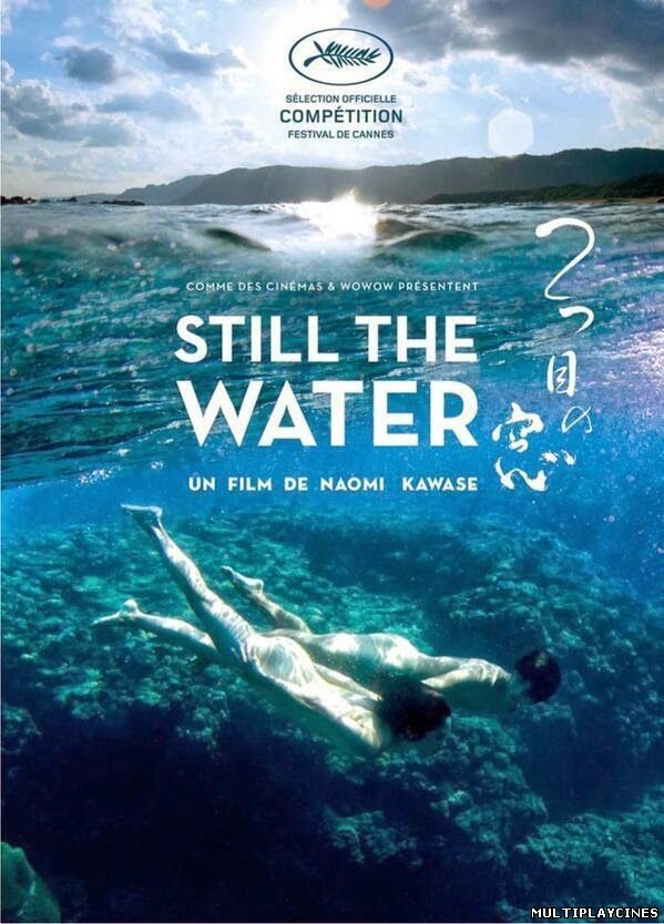 Ver Still The Water (2014) Online Gratis