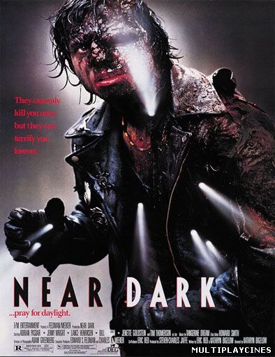 Ver Near Dark (Cuando cae la oscuridad) (1987) Online Gratis