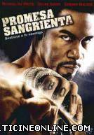 Ver Promesa sangrienta: Blood and bone (2010) Online Gratis