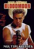 Ver Muerte a media noche Online Gratis