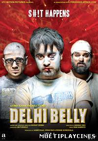 Ver Delhi Belly (2011) Online Gratis