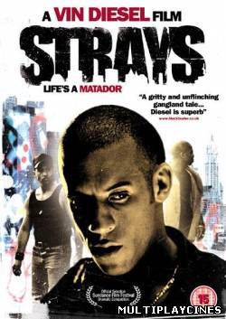 Ver Strays (1997) Online Gratis