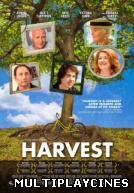 Ver Harvest Online Gratis