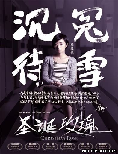 Ver Christmas Rose (Sheng dan mei gui) (2013) Online Gratis