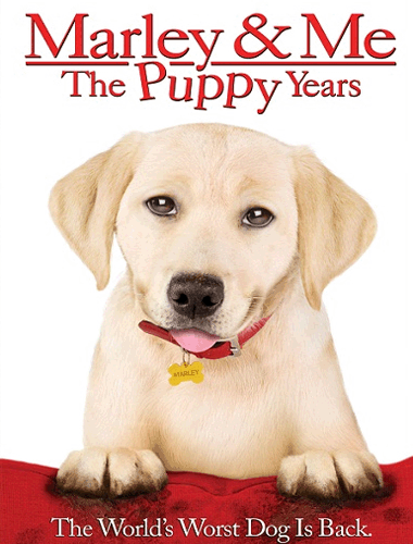 Ver Marley and Me Puppy Years (2011) Online Gratis