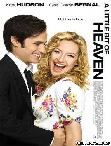 Ver A Little Bit of Heaven (2010) Online Gratis