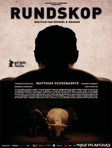 Ver Rundskop (Bullhead) (2011) Online Gratis