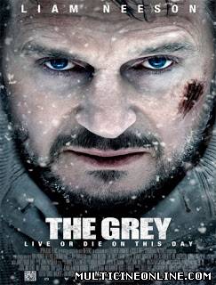 Ver The Grey / infierno-blanco / Un día para sobrevivir (2012) Online Gratis