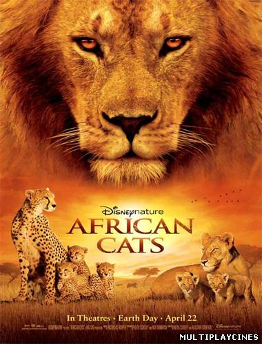 Ver Felinos de Africa (2011) Online Gratis