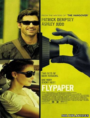 Ver El gran robo / Atraco por duplicado (Flypaper) (2011) Online Gratis