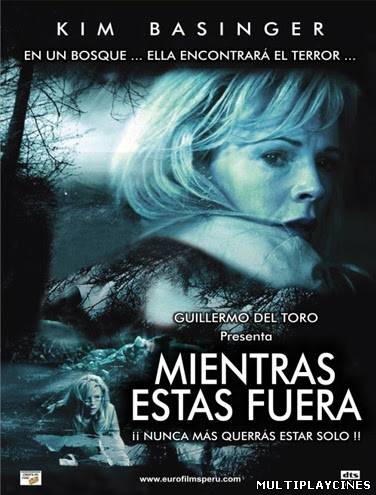 Ver Mientras estas fuera (2008) Online Gratis