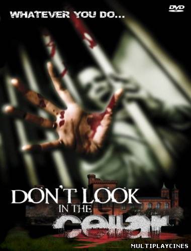 Ver Don’t Look in the Cellar (2008) Online Gratis