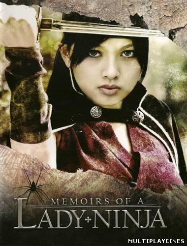 Ver Memoirs of a lady ninja 2 (2011) Online Gratis