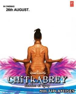 Ver Chitkabrey - Shades of Grey (2011) Online Gratis