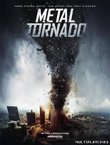 Ver Metal tornado (2011) Online Gratis