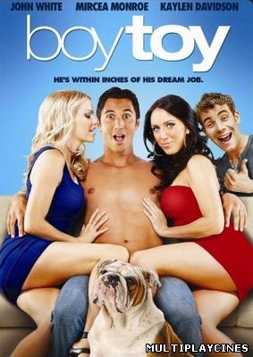 Ver Boy Toy (2011) Online Gratis