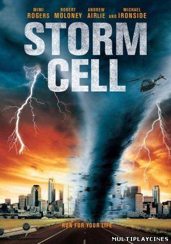 Ver Storm Cell (2010) online Online Gratis