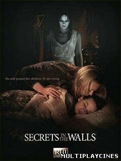 Ver Secretos en las paredes (2010) Online Gratis