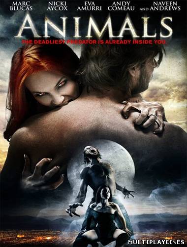 Ver Animals (2008) Online Gratis