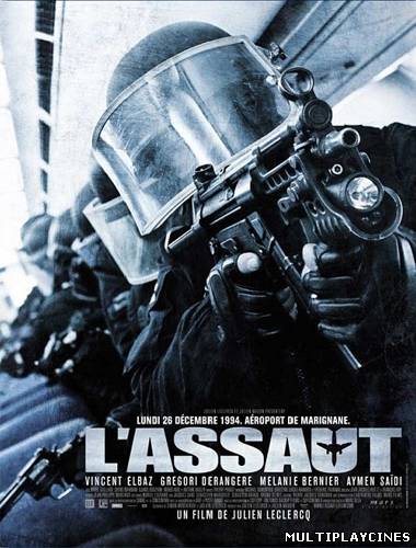 Ver The Assault (2011) Online Gratis