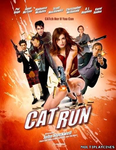 Ver Cat Run (2011) Online Gratis