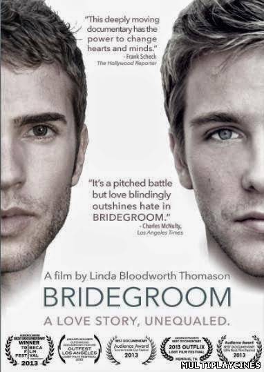 Ver Bridegroom (2013) Online Gratis