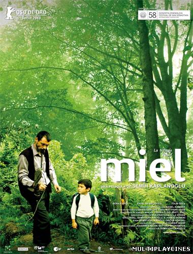 Ver Miel (2010) Online Gratis