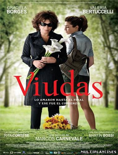 Ver Viudas (2011) Online Gratis