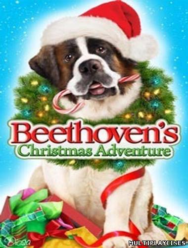 Ver Beethoven: Aventura de navidad (2011) Online Gratis