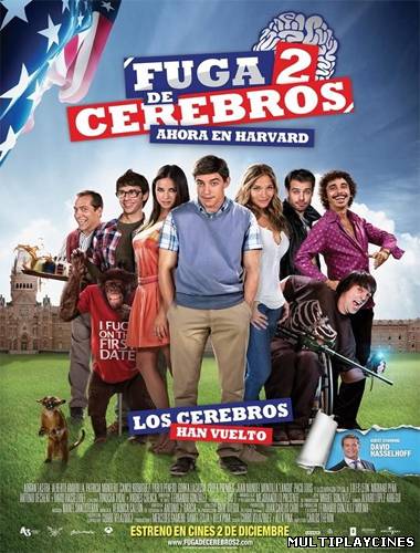 Ver Fuga de cerebros 2. Ahora en Harvard (2011) Online Gratis