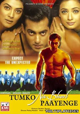 Ver Tumko Na Bhool Paayenge (2002) Online Gratis