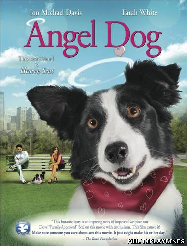 Ver Angel Dog (2011) Online Gratis