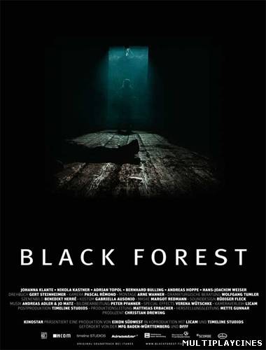 Ver El secreto de la selva negra (2010) Online Gratis