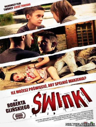 Ver Swinki (2009) Online Gratis