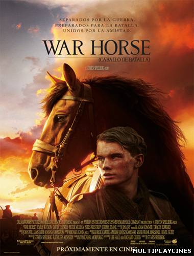 Ver Caballo de guerra / Caballo de batalla / War Horse (2011) Online Gratis