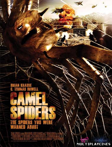Ver Camel spiders (2011) Online Gratis