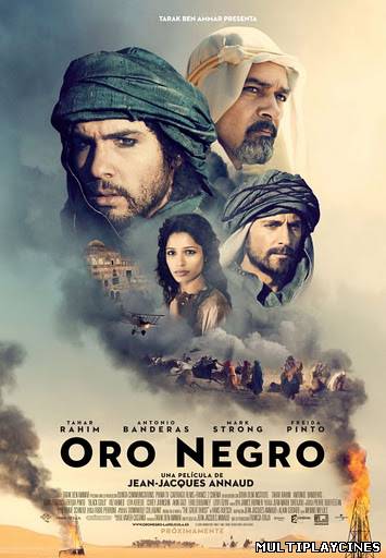 Ver ORO NEGRO (2011) Online Gratis