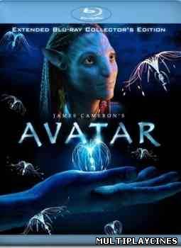 Ver Avatar: Versión Extendida – Edición Coleccionista (2011) Online Gratis
