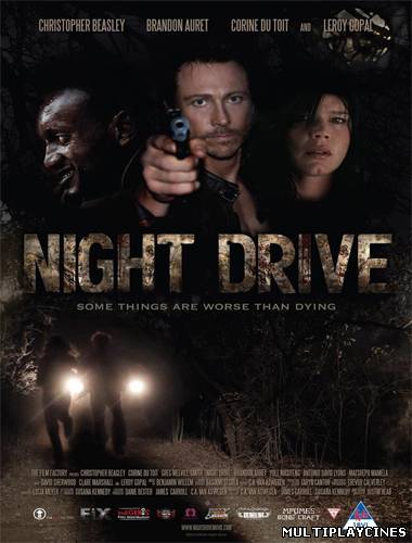 Ver Night drive (2010) Online Gratis