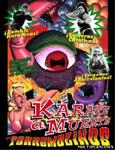 Ver Kárate a muerte en Torremolinos (2003) Online Gratis