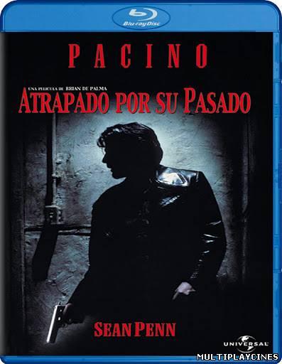 Ver Atrapado por su pasado (1993) Online Gratis