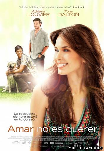 Ver AMAR NO ES QUERER (2011) - LATINO Online Gratis