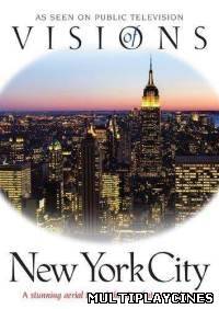 Ver Visiones de Nueva York (2004) Online Gratis