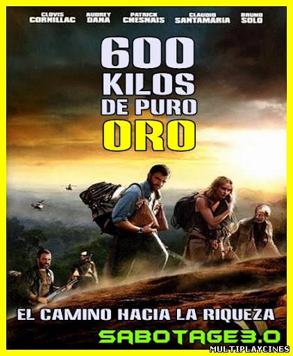 Ver 600 kilos de oro puro (2010) Online Gratis