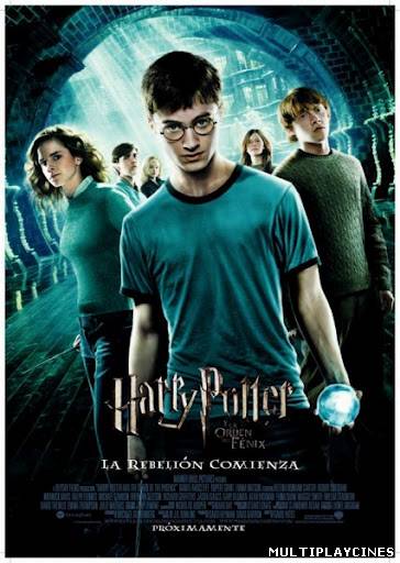 Ver Harry Potter y la Orden del Fenix (2007) Online Gratis