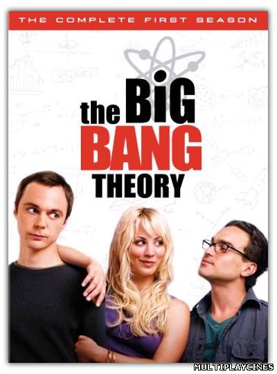 Ver The Big Bang Theory (Serie de TV) (2007) [Temporada 4] Online Gratis