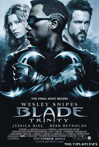 Ver Blade Trinity (Blade 3) (2004) Online Gratis