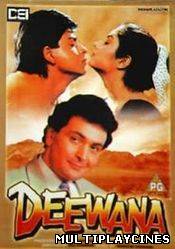 Ver Deewana (1992) Online Gratis