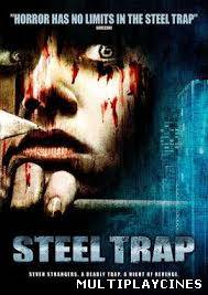Ver Steel Trap (2007) online Online Gratis
